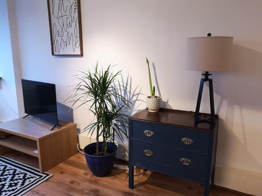 2 Bed Flat, Bounds Green, Piccadilly Line, London N11 Eksteriør bilde